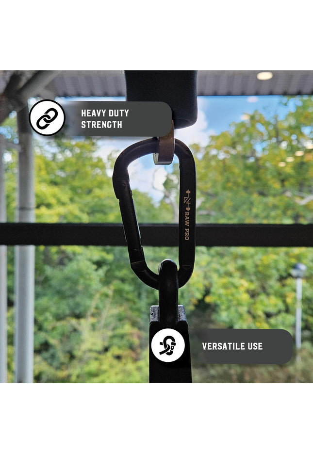 Heavy-Duty Black Carabiner Clips (2-Pack)